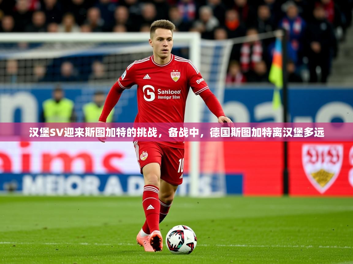 2025 迈博体育注册汉堡SV迎来斯图加特的挑战，备战中，德国斯图加特离汉堡多远  第2张