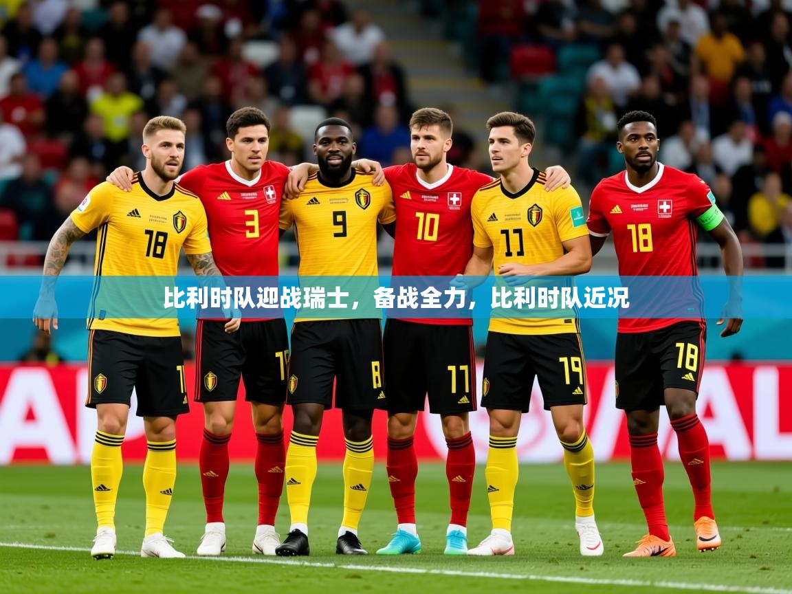 2025 迈博体育娱乐比利时队迎战瑞士，备战全力，比利时队近况  第2张