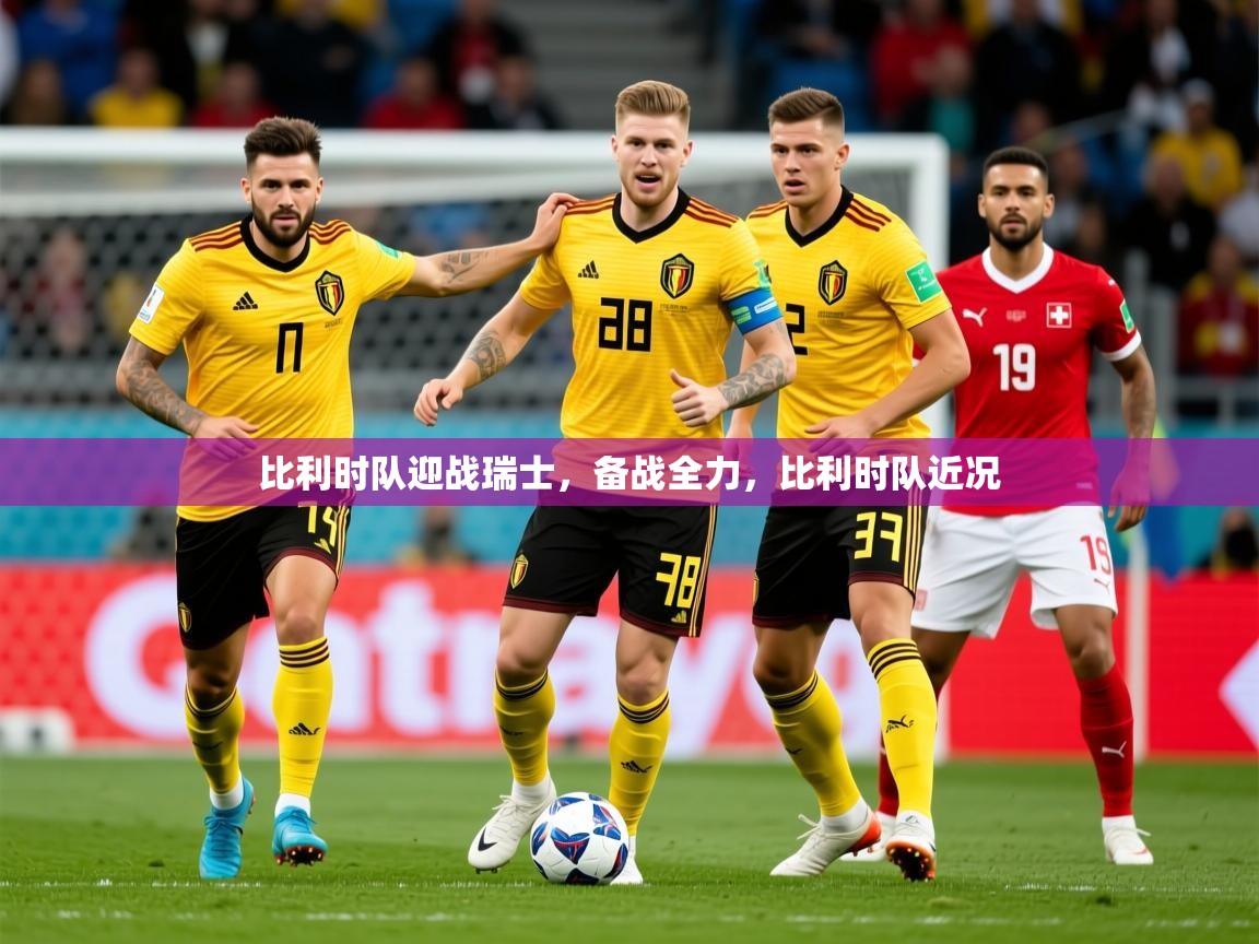 2025 迈博体育娱乐比利时队迎战瑞士，备战全力，比利时队近况  第3张