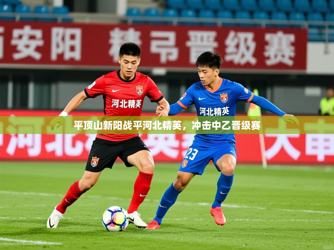 2025 迈博体育娱乐平顶山新阳战平河北精英,冲击中乙晋级赛 第1张