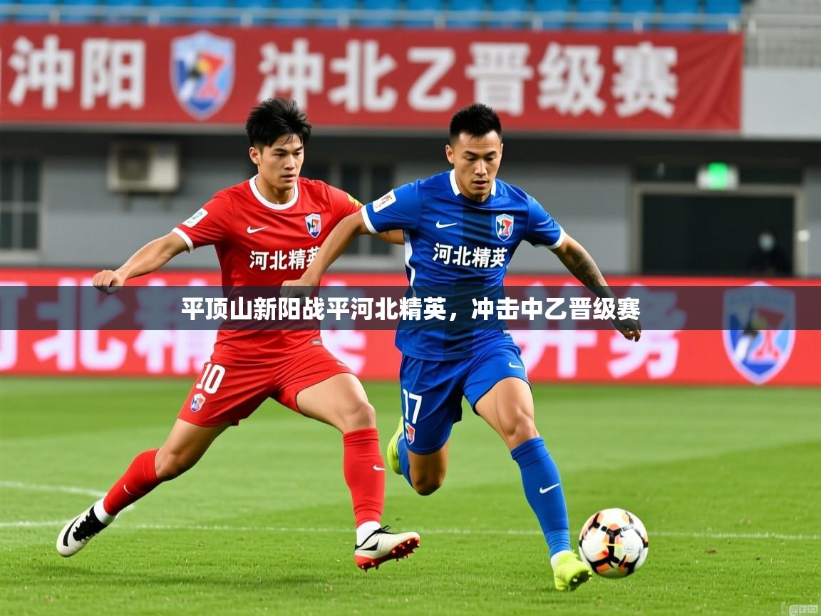 2025 迈博体育娱乐平顶山新阳战平河北精英,冲击中乙晋级赛 第2张