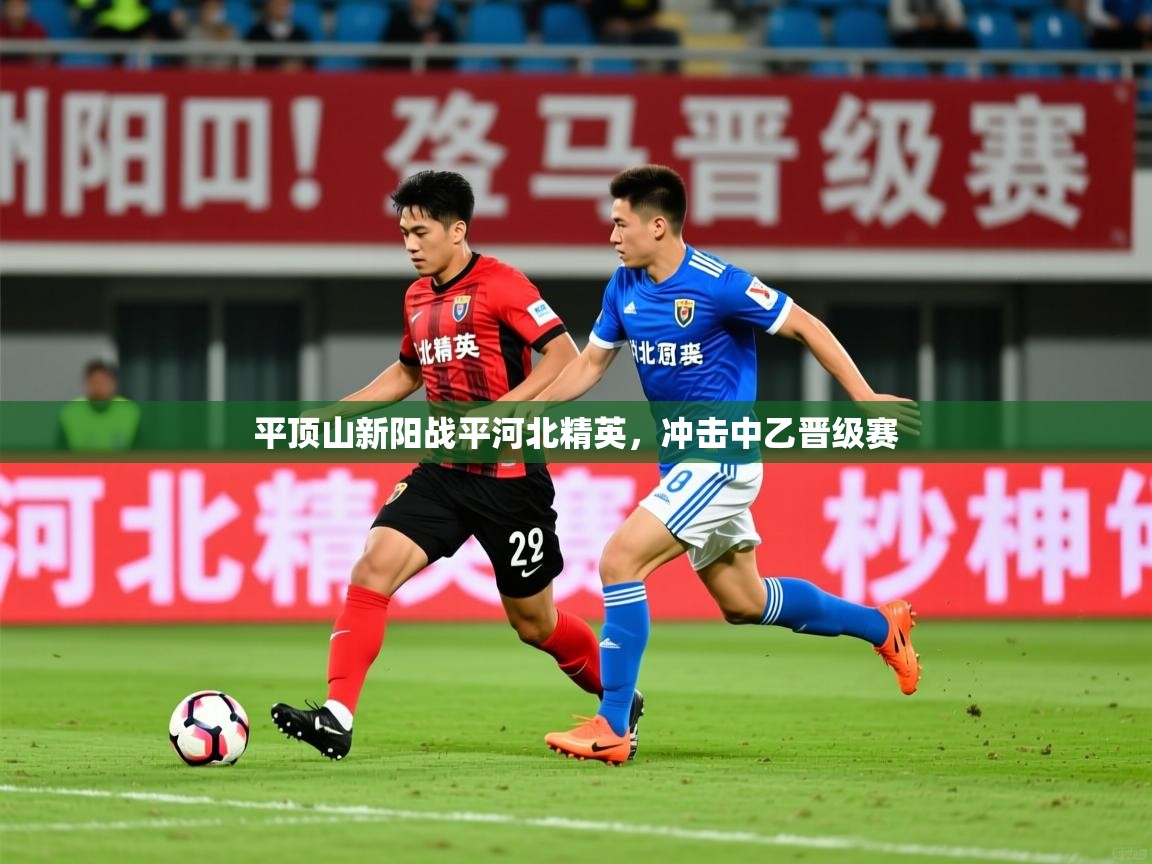 2025 迈博体育娱乐平顶山新阳战平河北精英,冲击中乙晋级赛 第3张