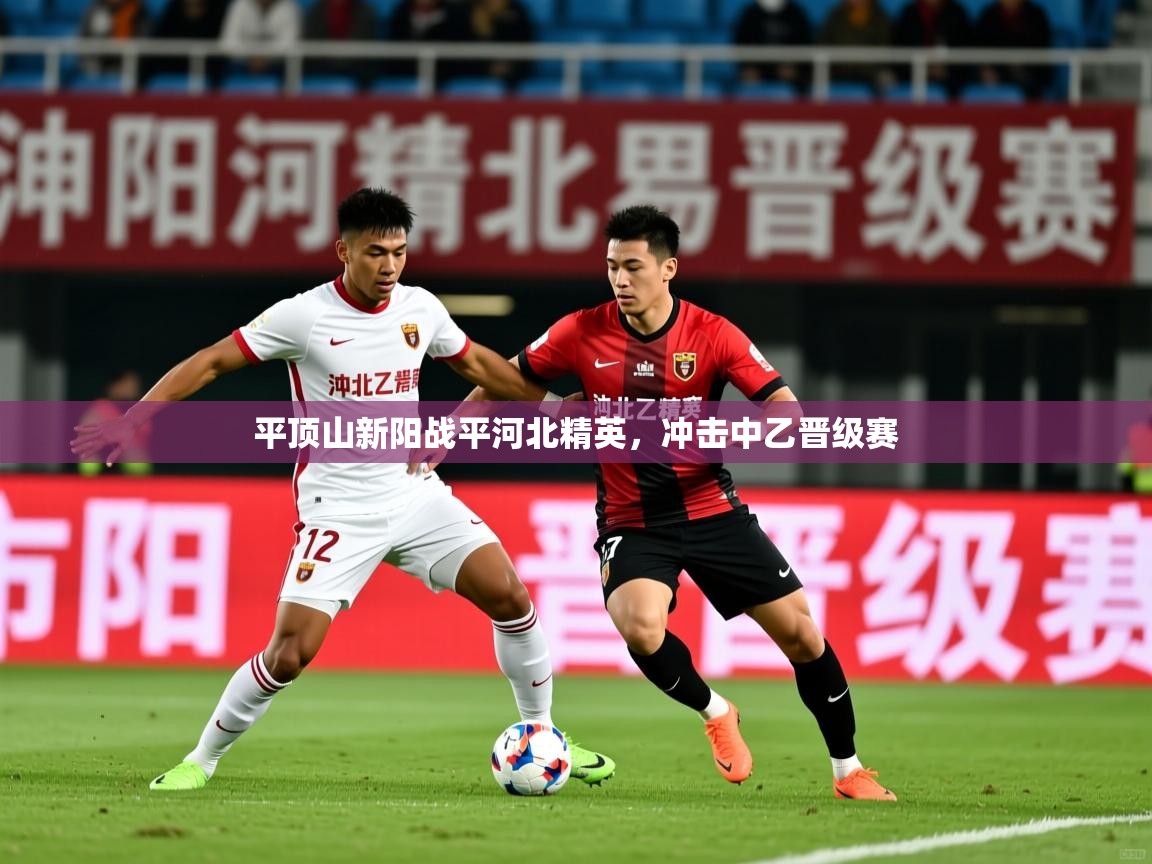 2025 迈博体育娱乐平顶山新阳战平河北精英,冲击中乙晋级赛 第4张