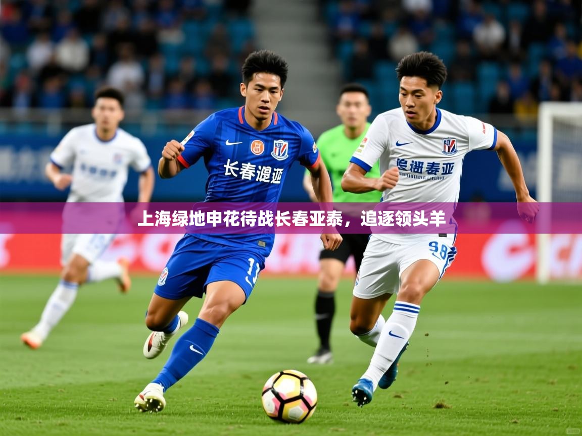 2025 迈博体育娱乐上海绿地申花待战长春亚泰,追逐领头羊 第1张