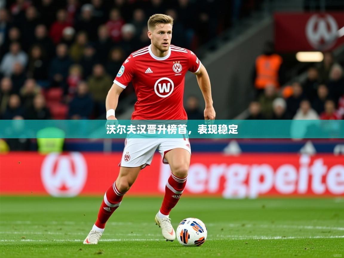 2025 迈博体育娱乐沃尔夫汉晋升榜首,表现稳定 第4张