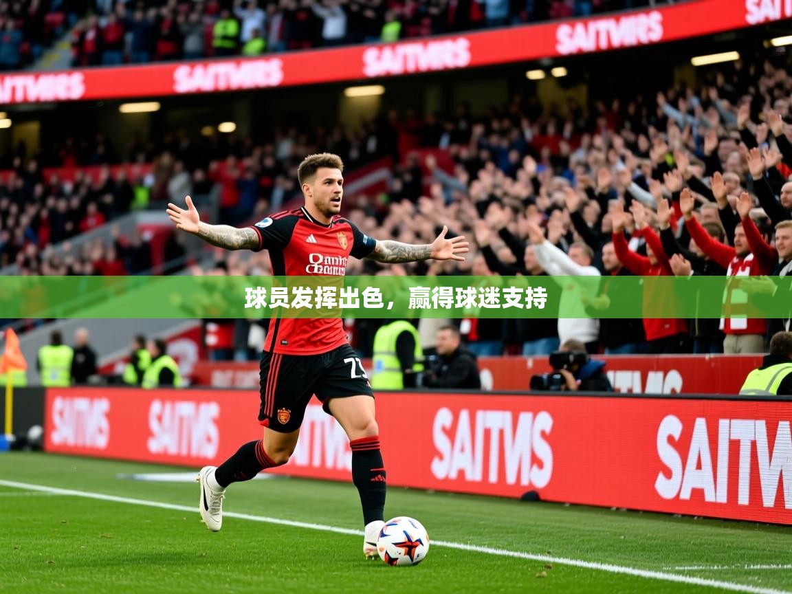 2025 迈博体育在线球员发挥出色，赢得球迷支持  第2张
