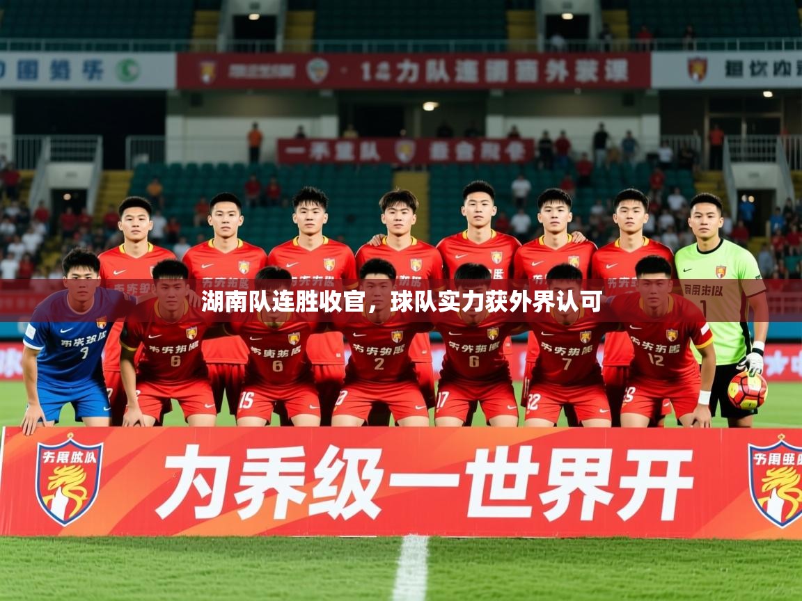 2025 迈博体育登录湖南队连胜收官,球队实力获外界认可 第2张