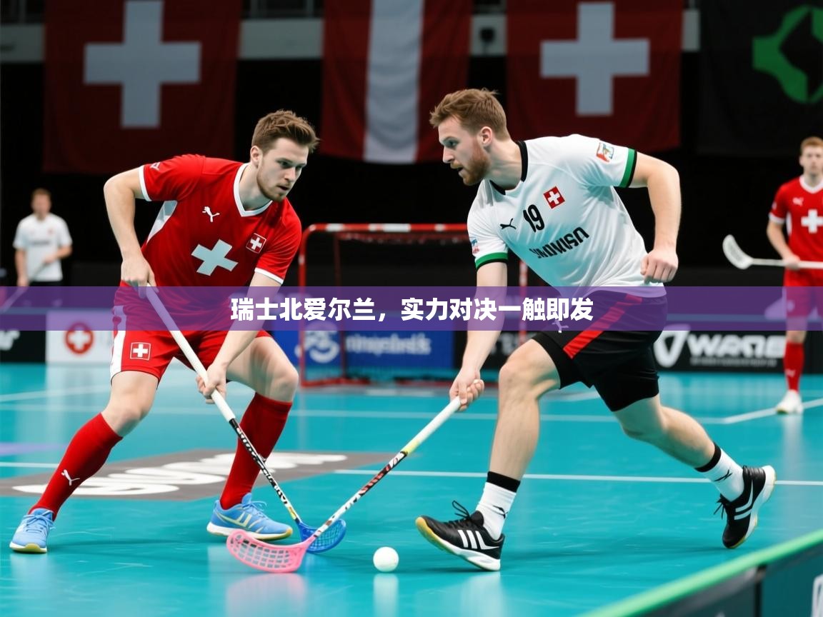 2025 迈博体育 源自欧洲瑞士北爱尔兰，实力对决一触即发  第2张