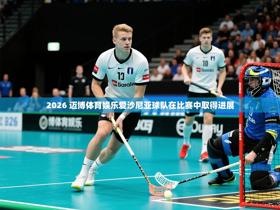 2026 迈博体育娱乐爱沙尼亚球队在比赛中取得进展